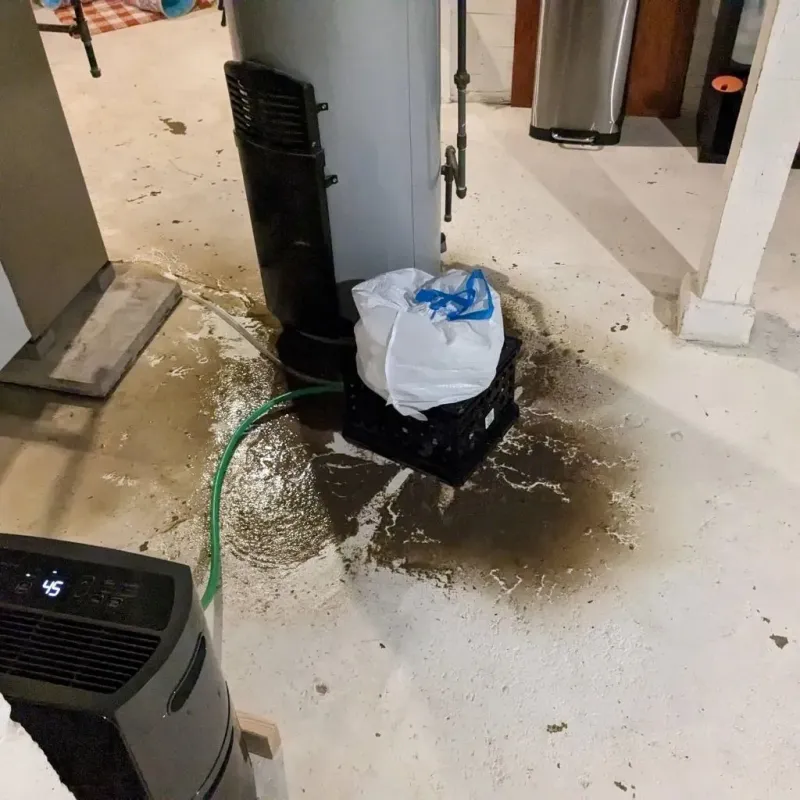 Sewage Backup Cleanup Service in Onawa, IA